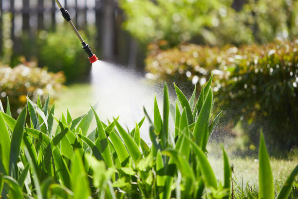 24/7 Emergency Mosquito Control experts in Westwood, KY